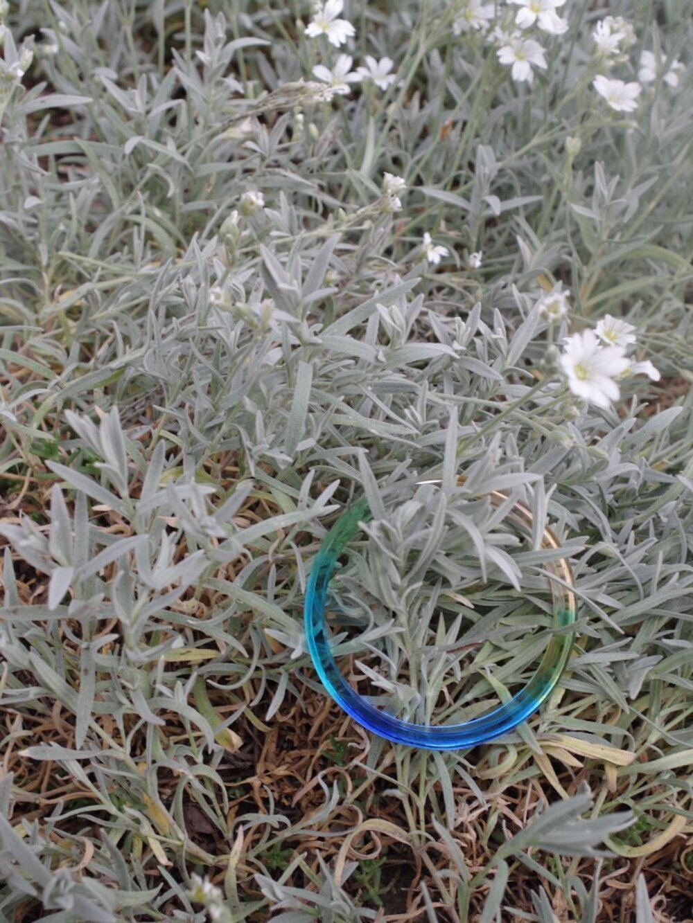 Beautiful Glass Whimsical Bangle